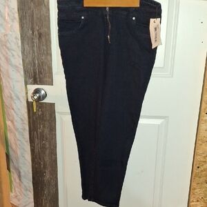 💐$95 ba&sh Midnight Blue Skinny Jeans